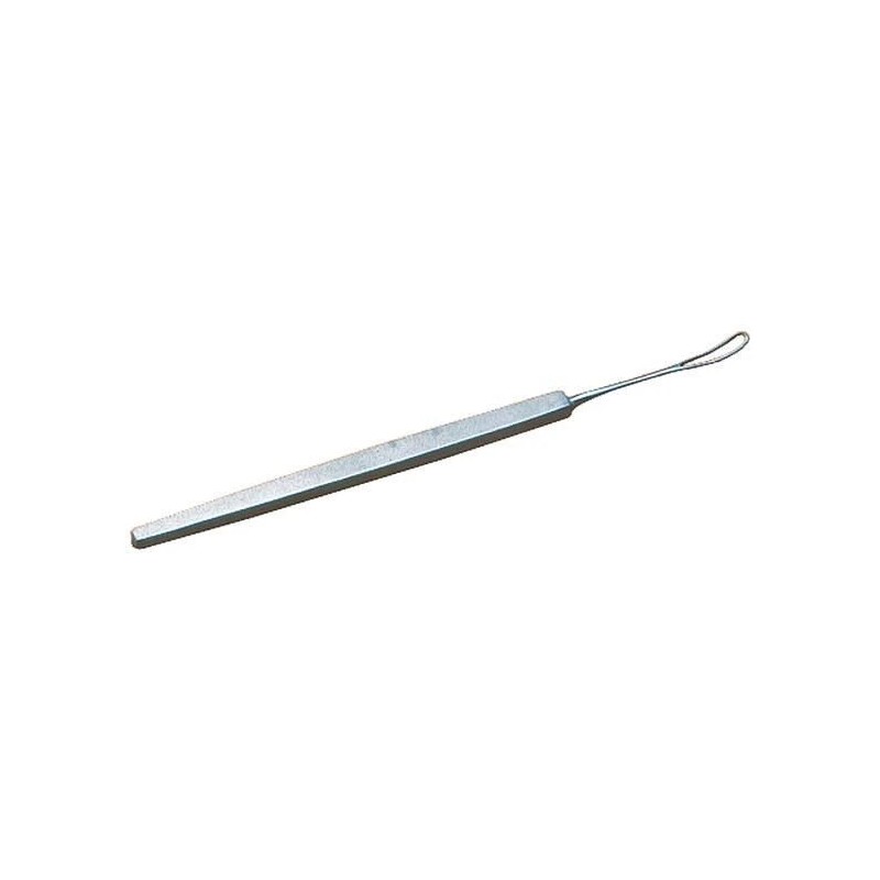 Anse de SNELLEN Joleti