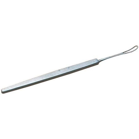 Anse de SNELLEN Joleti