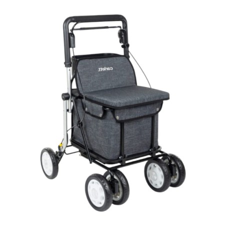 Chariot de course LETT900