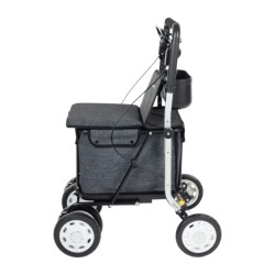 Chariot de course LETT900