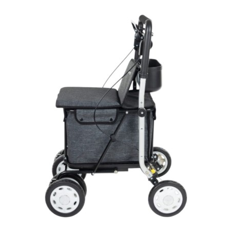 Chariot de course LETT900