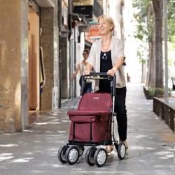 Chariot de course LETT900